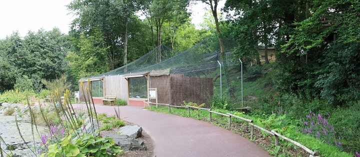 [2] pano, 100CANON, 3 images, IMG_2810 - IMG_2812 - 4539x1989 - SCUL-Smartblend.jpg - chats pecheurs et Biturongs dans un enclos divisé en deux